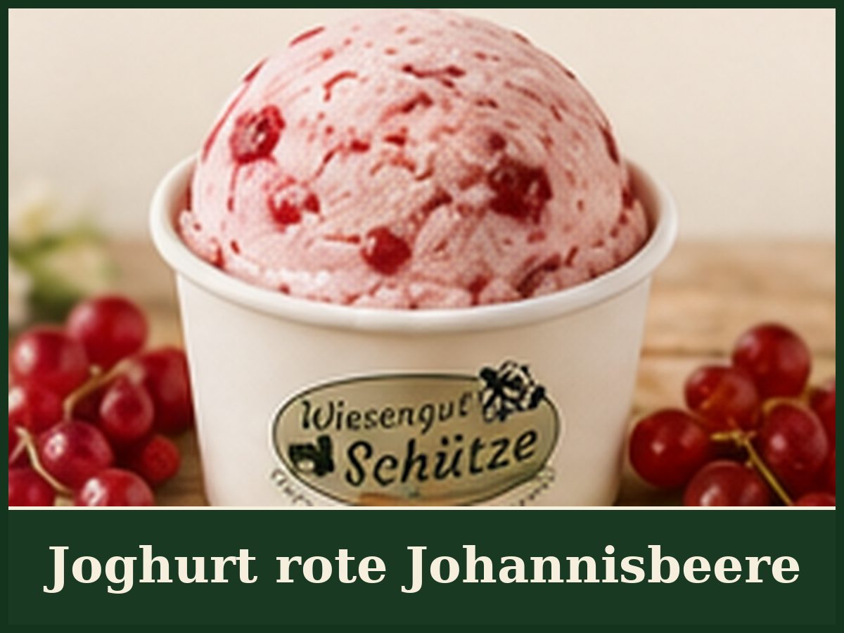 Joghurt rote Johannisbeere