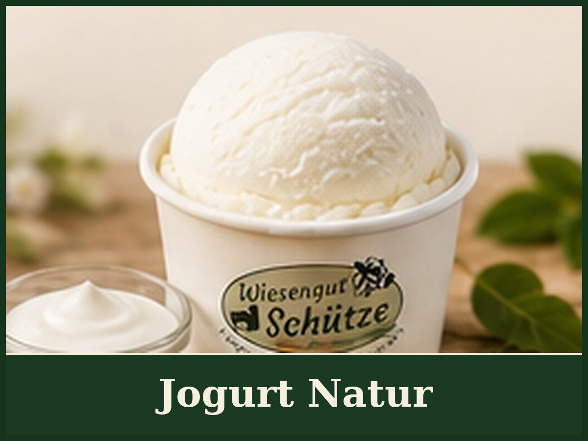 Jogurt Natur