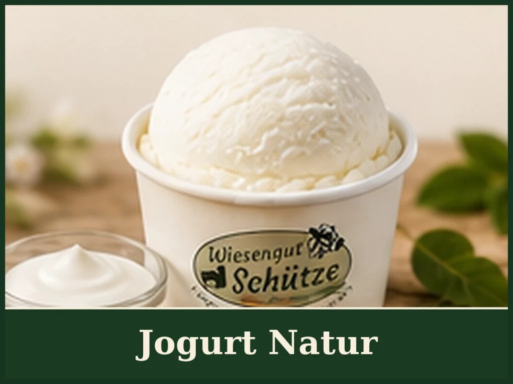 Jogurt Natur