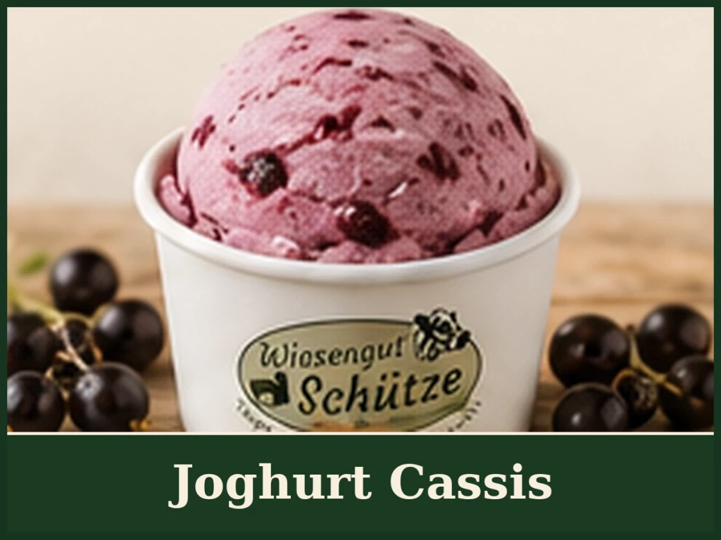 Joghurt Cassis